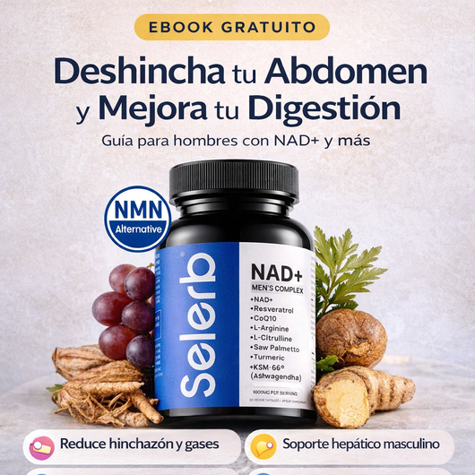 E-BOOK Próstata y Energía